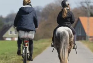 cyclist and horserider