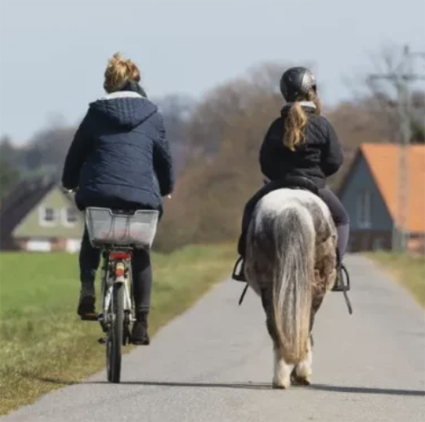 cyclist and horserider