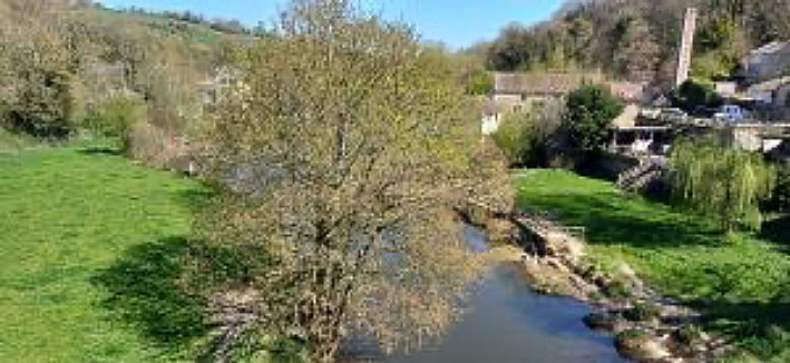 view from the viaduct over the River Avon at Avoncliff