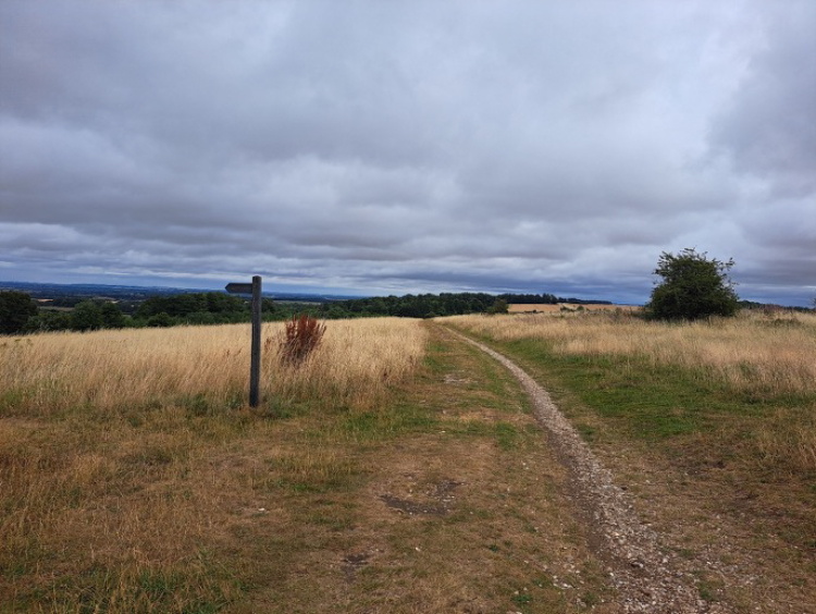 Downland path